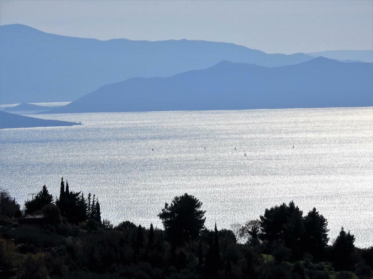 Traditional Mansion Calliopec-Uvc Sterilized Μακρινίτσα Εξωτερικό φωτογραφία